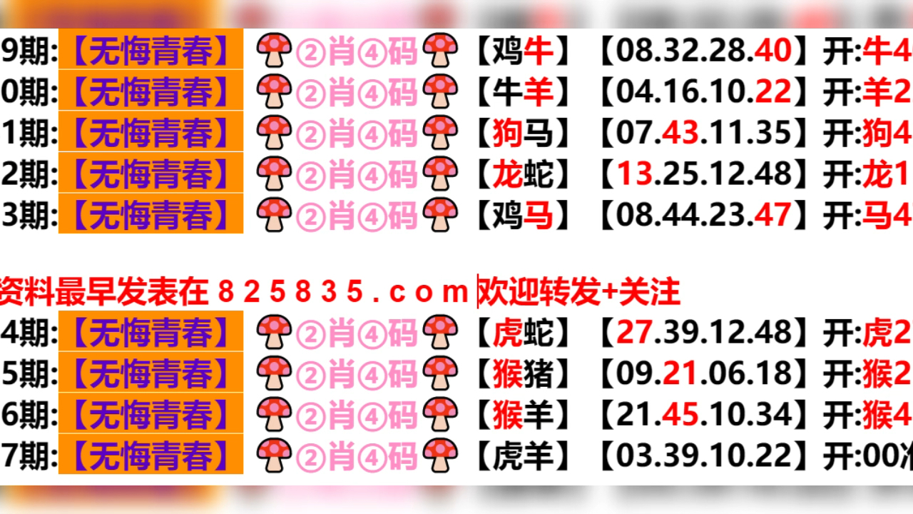 2024新奥门天天开好彩大全85期,探索新奥门，2024年天天开好彩的奥秘与期待