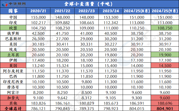 2024新奥历史开奖记录49期,揭秘新奥历史开奖记录，探寻第49期的奥秘与魅力