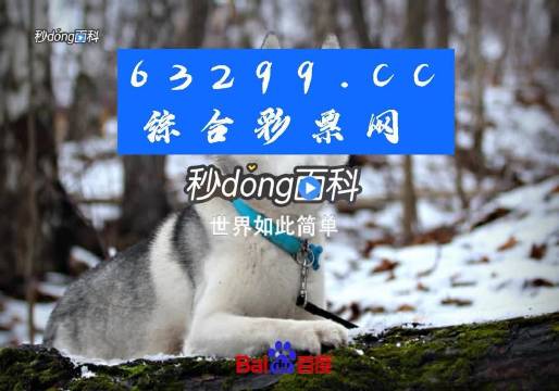 77778888管家婆必开一肖,揭秘管家婆必开一肖，一场数字与命运的神秘游戏