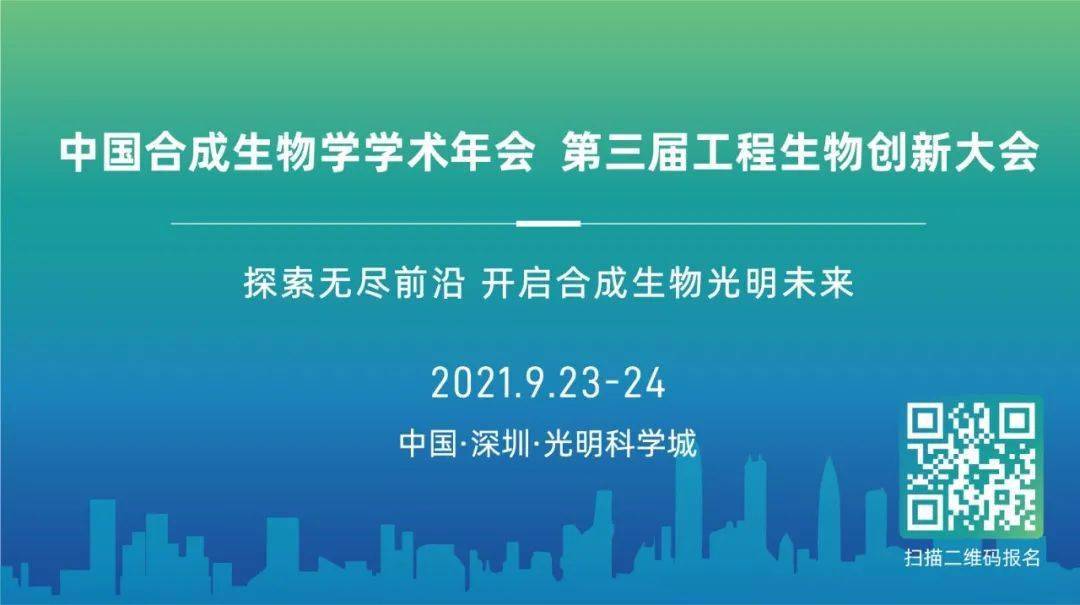 2025新澳免费资料40期,探索未来之门，新澳免费资料四十期展望（2025年）